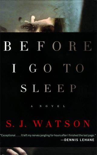 Before I Go To Sleep audio book by S. J. Watson